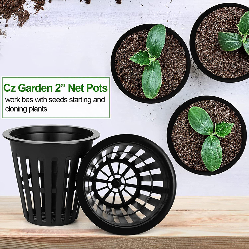 2 นิ้ว Garden Nursery Pots พืช - Orchid Potting Mix บทวิจารณ์และราคา